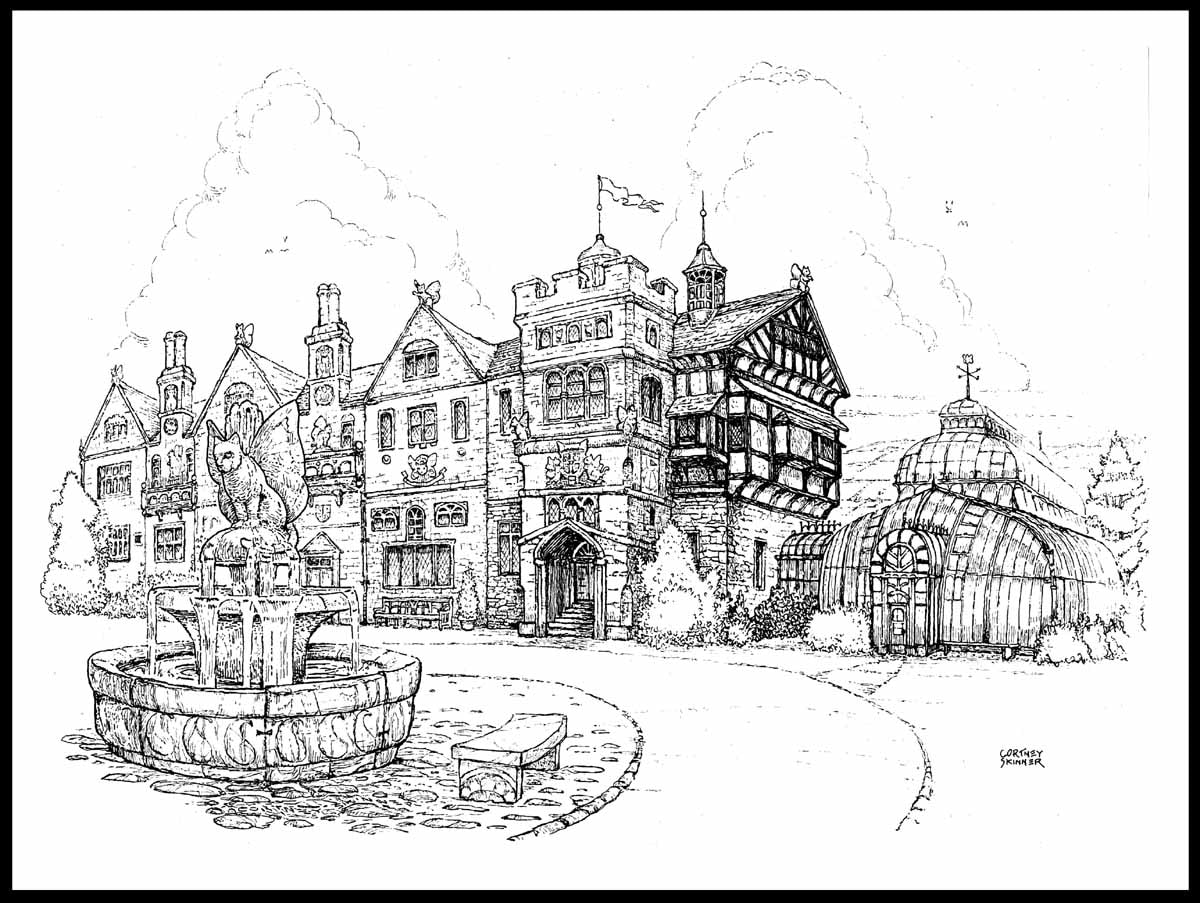 Black & white illustration illustration category