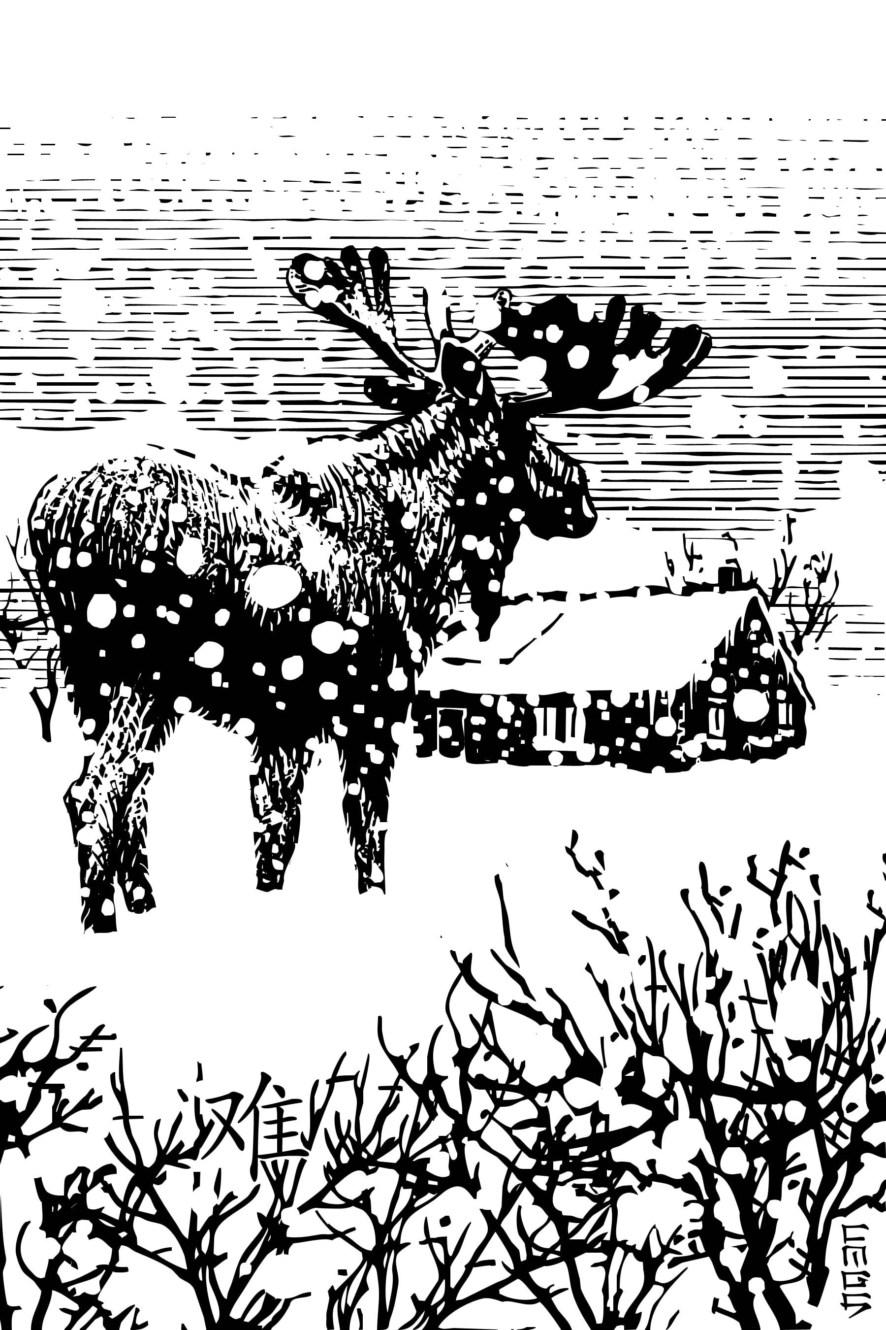 The Christmas Star by Christopher Fahy