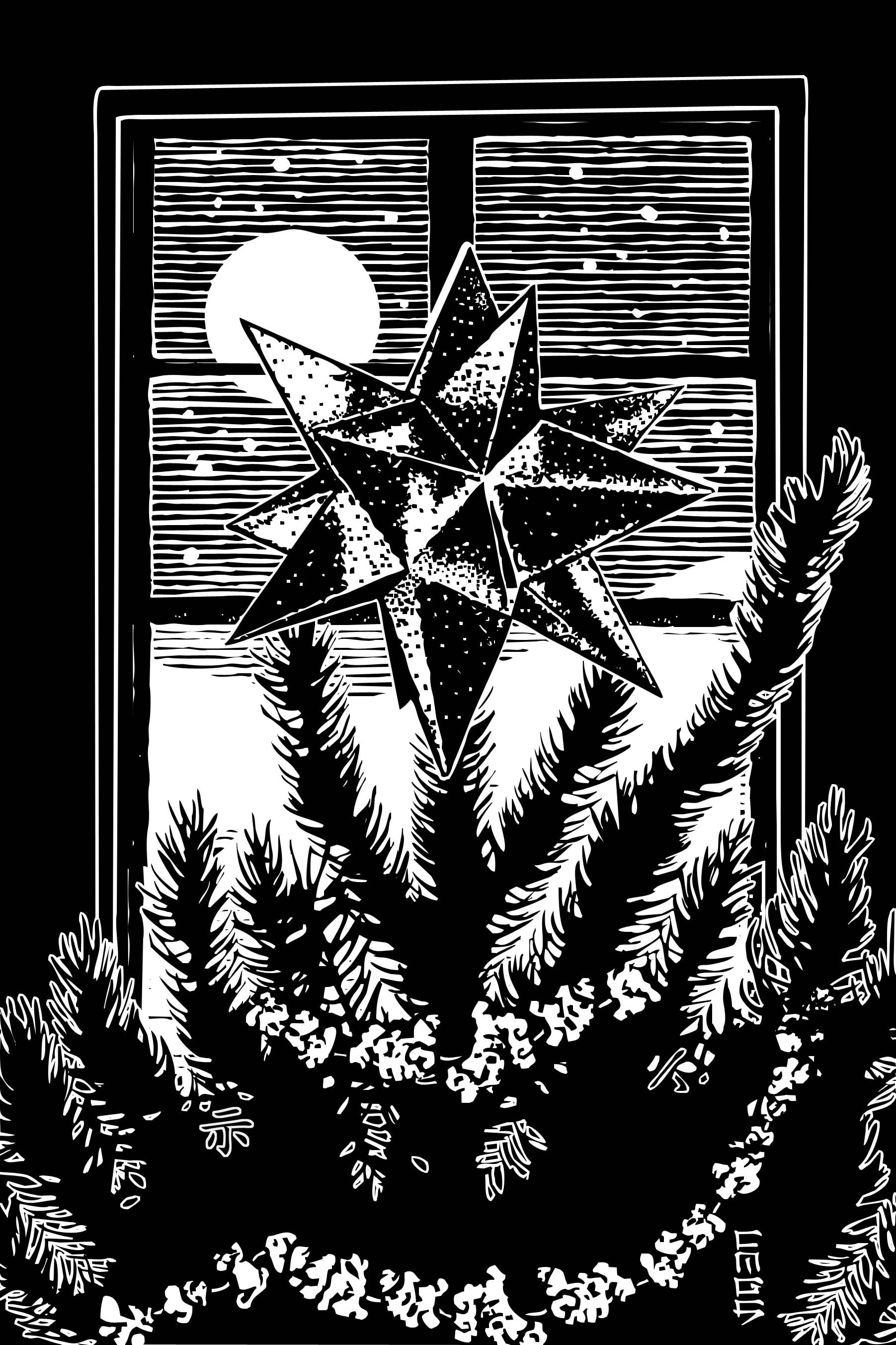The Christmas Star by Christopher Fahy
